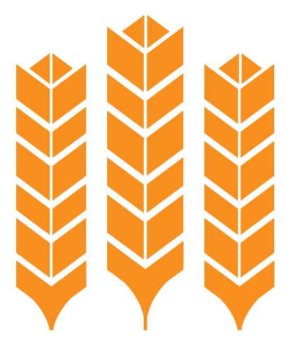 harvest harvest